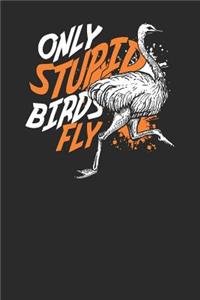 Only Stupid Birds Fly
