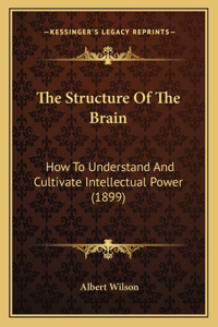 Structure Of The Brain