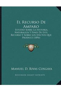 El Recurso De Amparo