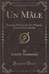Un Mâle