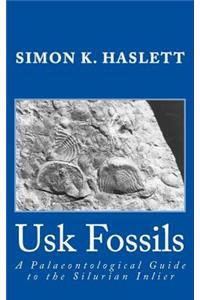 Usk Fossils
