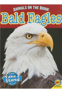 Bald Eagles