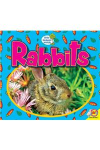 Rabbits