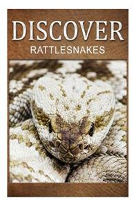 Rattle Snakes - Discover