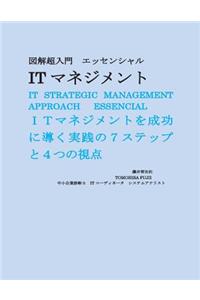 It Management Approach Essential