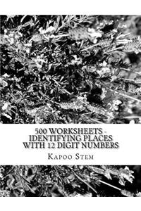 500 Worksheets - Identifying Places with 12 Digit Numbers