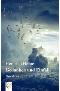 Gedanken und Einfälle (Großdruck)