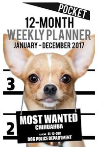 2017 Pocket Weekly Planner - Most Wanted Chihuahua