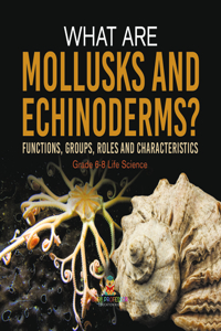 What Are Mollusks and Echinoderms? Functions, Groups, Roles and Characteristics Grade 6-8 Life Science