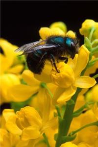 Floral Journal Bee Yellow Flower