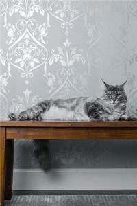 Silver-Gray Striped Long-Haired Cat on a Bench