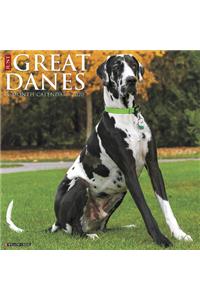 Just Great Danes 2020 Wall Calendar (Dog Breed Calendar)