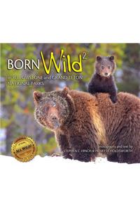 Born Wild 2