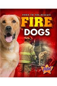 Fire Dogs