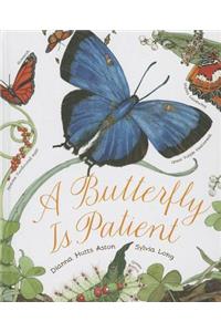 A Butterfly Is Patient