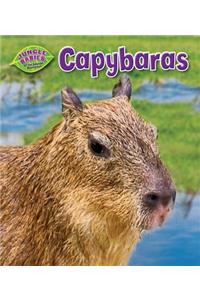 Capybaras