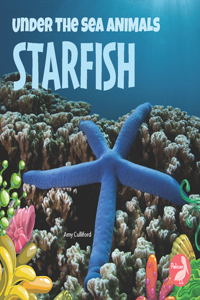 Starfish