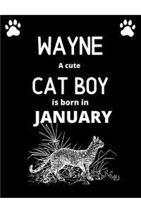 WAYNE a cute cat boy is born in January