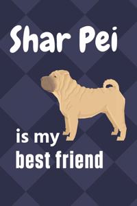 Shar Pei is my best friend