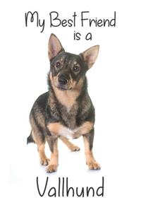 My best Friend is a Vallhund (Squared Paper)