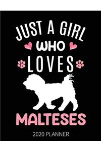 Just A Girl Who Loves Malteses 2020 Planner