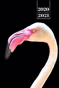 Flamingo Bird Watching Week Planner Weekly Organizer Calendar 2020 / 2021 - Yellow Eyes