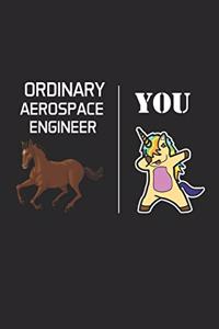 Ordinary Aerospace Engineer You