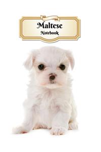 Maltese Notebook