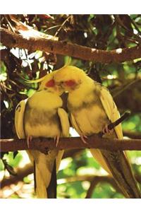 Bird Composition Notebook