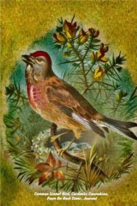 Common Linnet Bird, Carduelis Cannabina, Poem On Back Cover, Journal