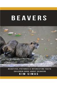 Beavers