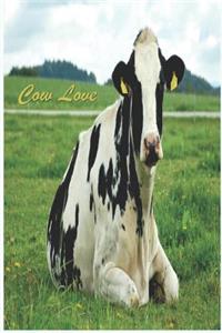 Cow Love: 124 Page Softcover, Has Lined Pages Both with a Cow Border, College Rule Composition (6