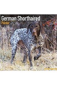 German Shorthaired Pointer Calendar 2018