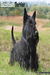 Scottish Terrier 2023 Wall Calendar