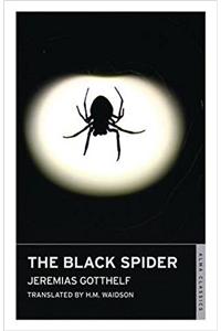 The Black Spider