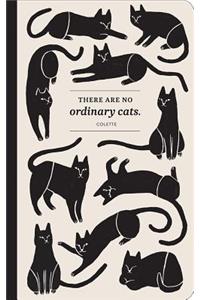 There Are No Ordinary Cats
