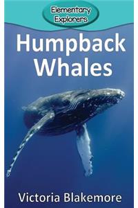 Humpback Whales
