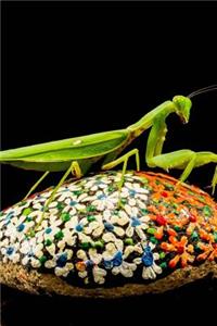 Praying Mantis on a Painted Stone Journal