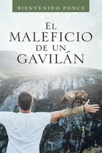 Maleficio De Un Gavilán