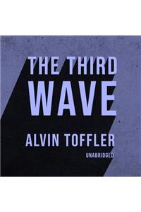 Third Wave Lib/E