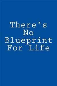 There's No Blueprint For Life