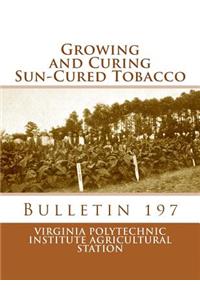 Growing and Curing Sun-Cured Tobacco