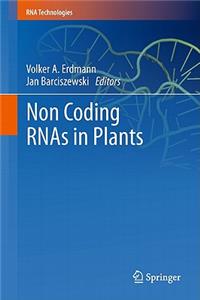 Non Coding Rnas in Plants