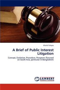 Brief of Public Interest Litigation