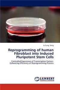 Reprogramming of Human Fibroblast Into Induced Pluripotent Stem Cells