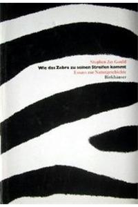 Wie Das Zebra Zu Seinen Streifen Kommt