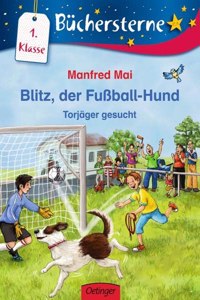 Blitz, der Fussballhund. Torjager gesucht