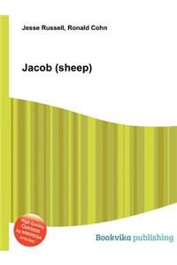 Jacob (Sheep)