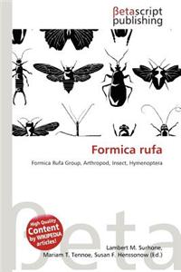 Formica Rufa
