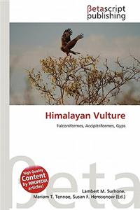 Himalayan Vulture